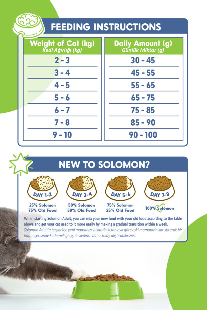 Solomon feeding instructions ve new to solomon geçiş şeması