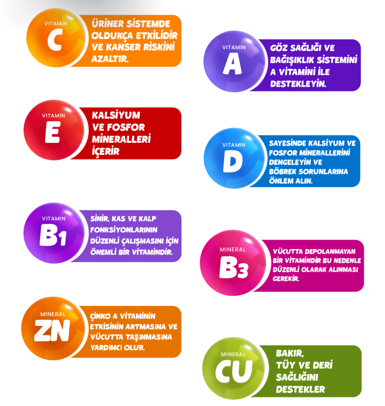 Vitamin ve mineral ikonları: A, D, E, C, B1, B3, Zn, Cu