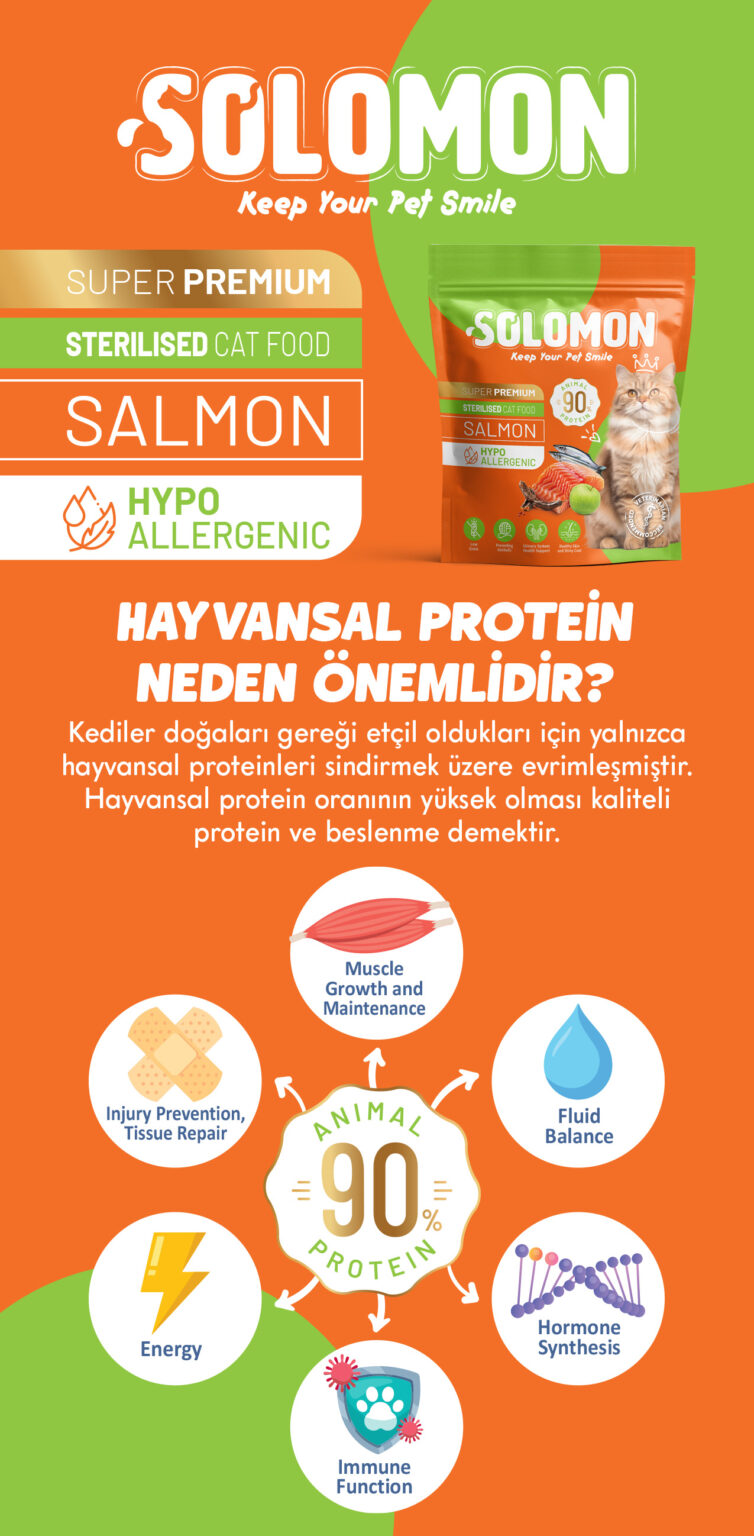 Hayvansal protein - Solomon görsel