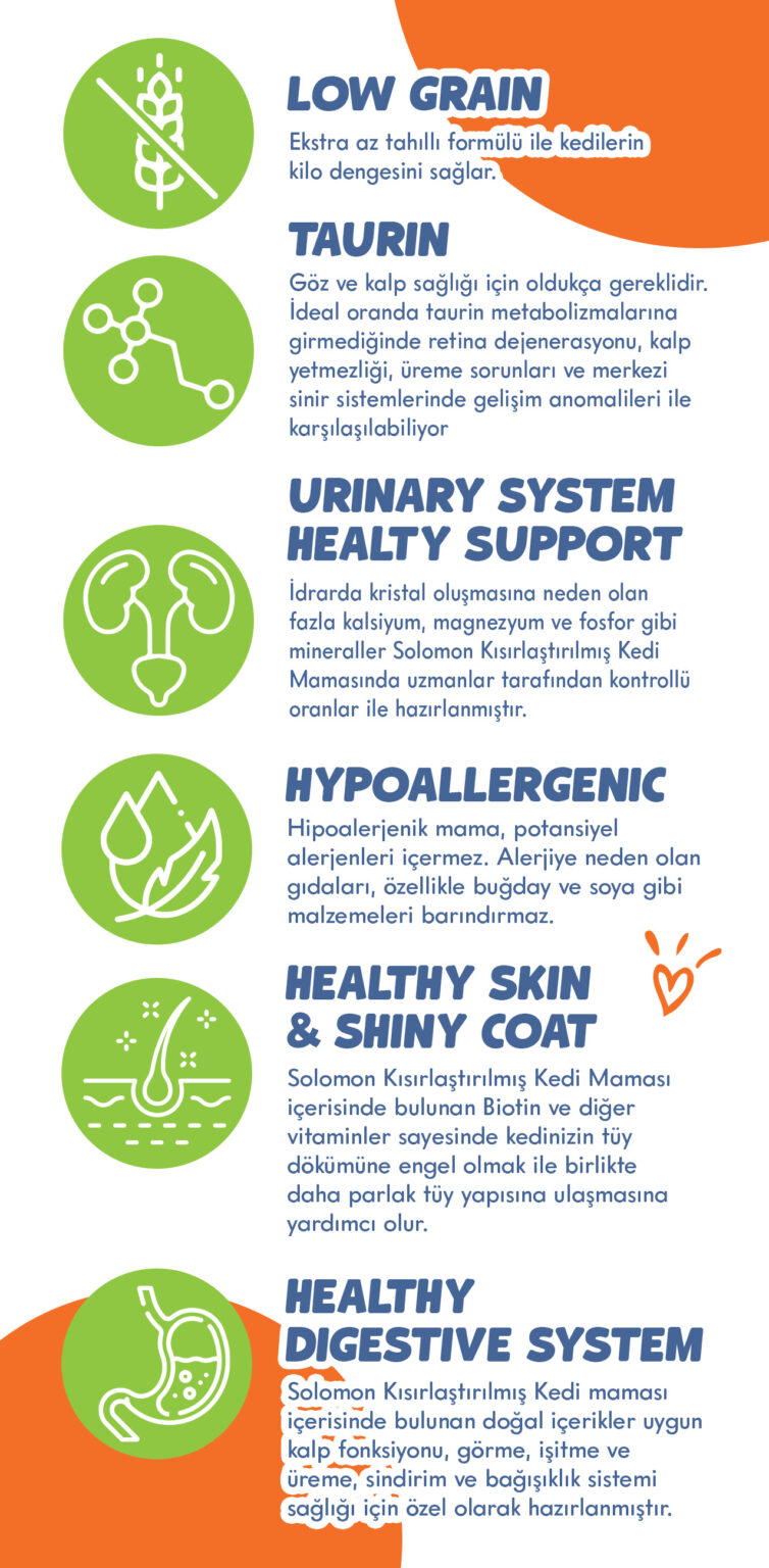 Solomon özellikler - low grain, taurin, urinary support, hypoallergenic, skin coat, digestive