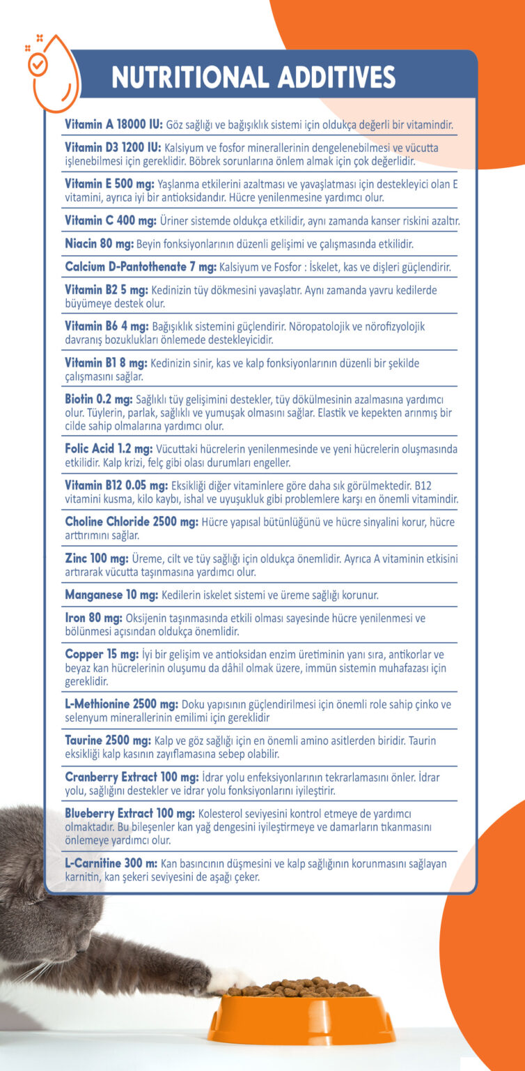 Solomon Super Premium Sterilised Cat Food Salmon - ürün görseli