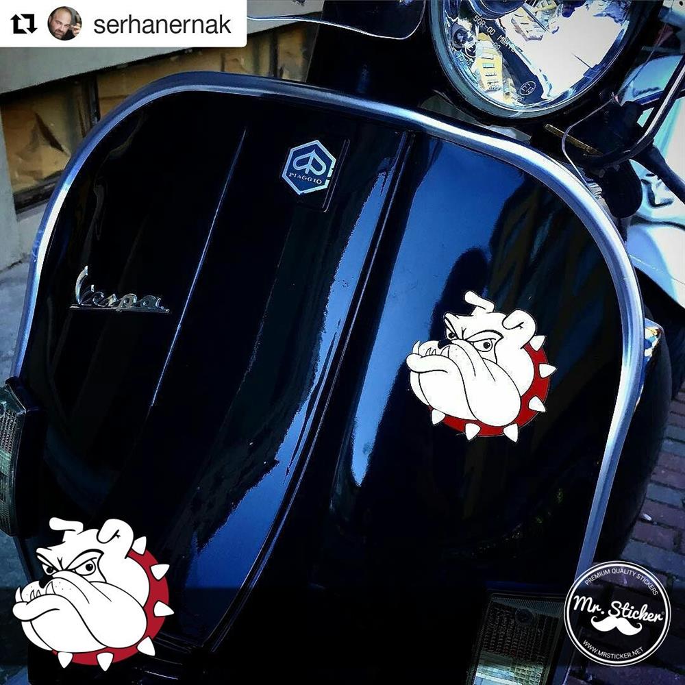 ALT4-  Beyaz Bulldog Etiketi