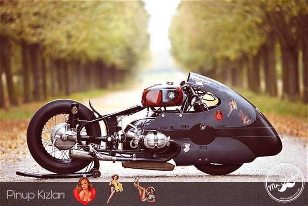 PNP17 Pinup Kizi Etiketi