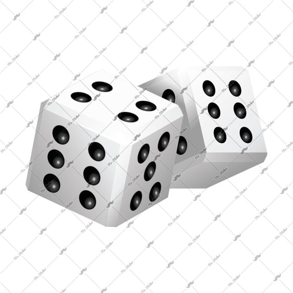 RFHLM25 Reflektif Zar Etiketi