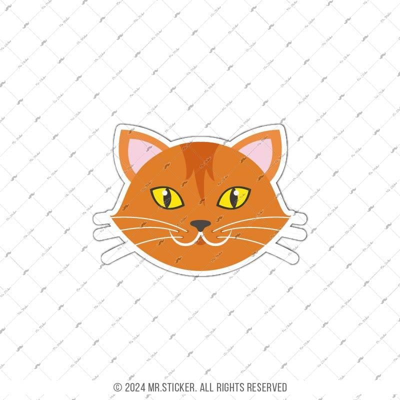 ANCT16- Sari Kedi Etiketi