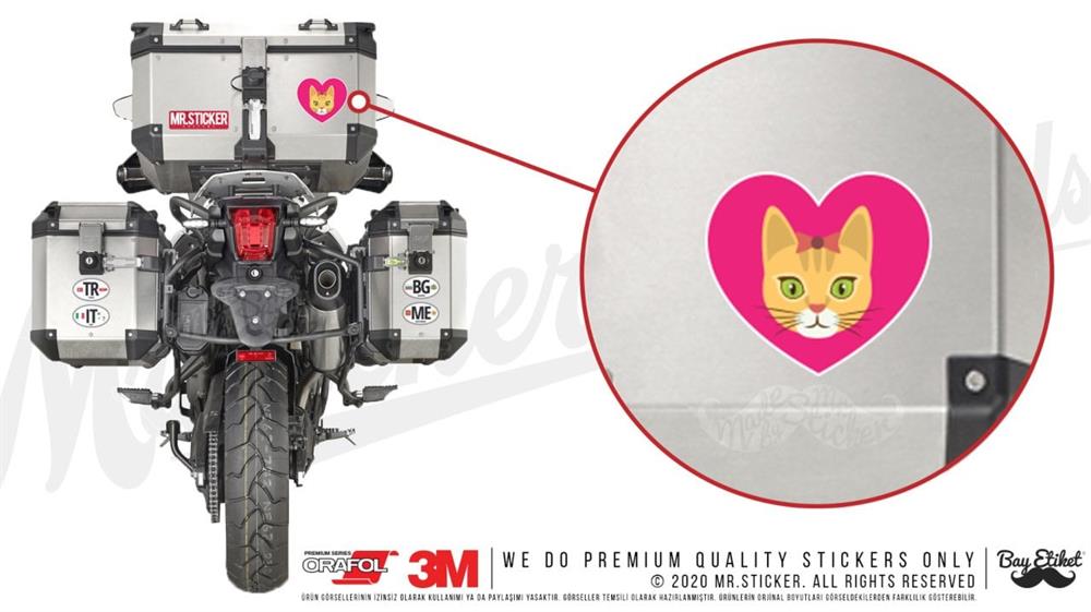 ANCT22 Kalp Kedi Etiketi