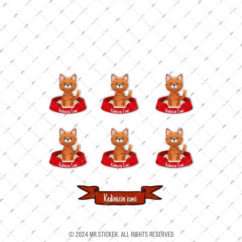 ANCT31 Sari Tekir Kedi Etiketi Seti - Kedinizin Ismine Ozel