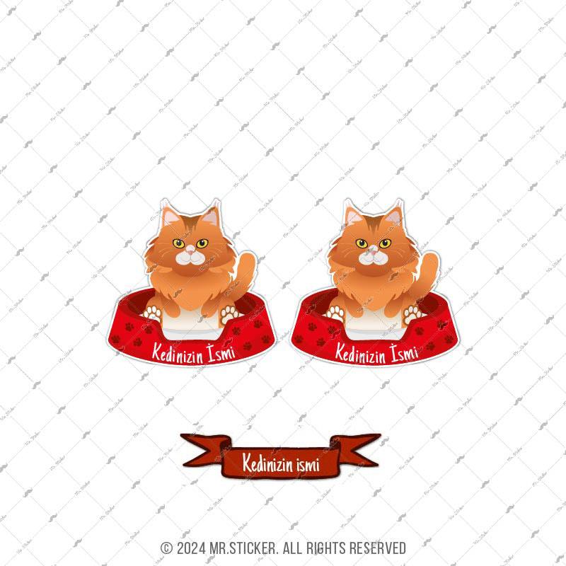 ANCT39 Maine Coon Kedi Etiketi Seti - Kedinizin Ismine Ozel