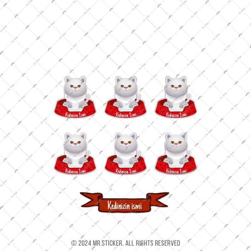 ANCT40 White British Kedi Etiketi Seti - Kedinizin Ismine Ozel