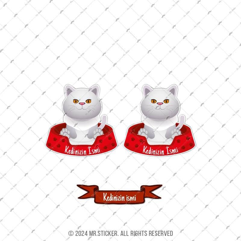 ANCT40 White British Kedi Etiketi Seti - Kedinizin Ismine Ozel