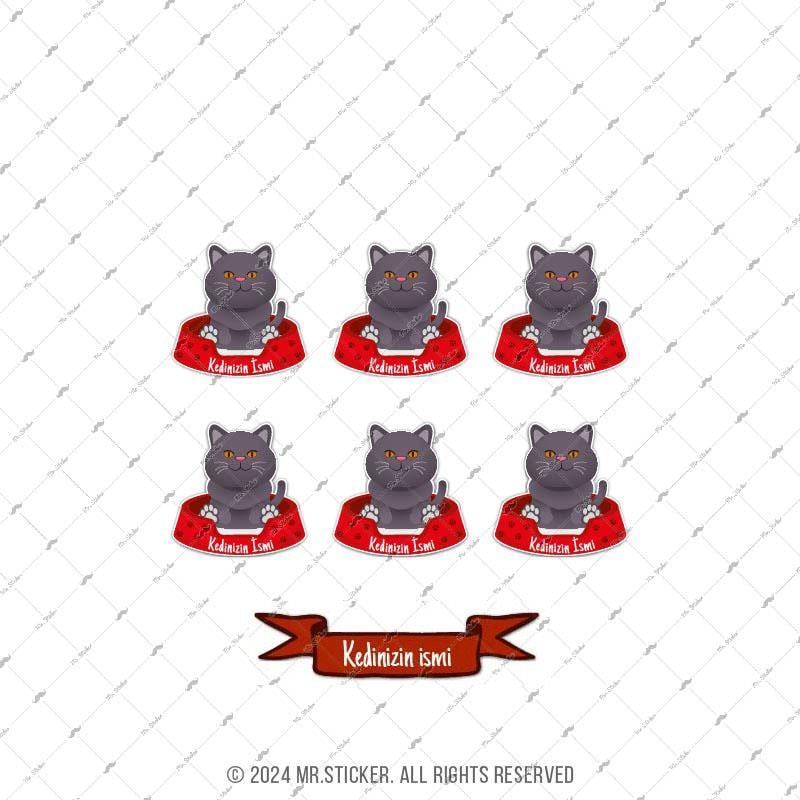 ANCT41 British Kedi Etiketi Seti - Kedinizin Ismine Ozel