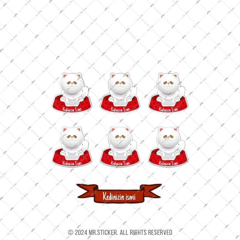 ANCT42 Exotic Shorthair Kedi Etiketi Seti - Kedinizin Ismine Ozel
