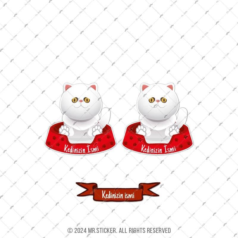 ANCT42 Exotic Shorthair Kedi Etiketi Seti - Kedinizin Ismine Ozel