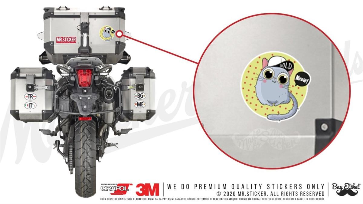 ANCT45 Rapci Kedi Etiketi