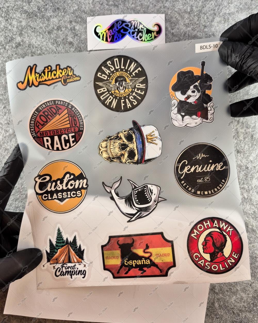 BDLS10 Küçük Boy 10lu Sticker Seti