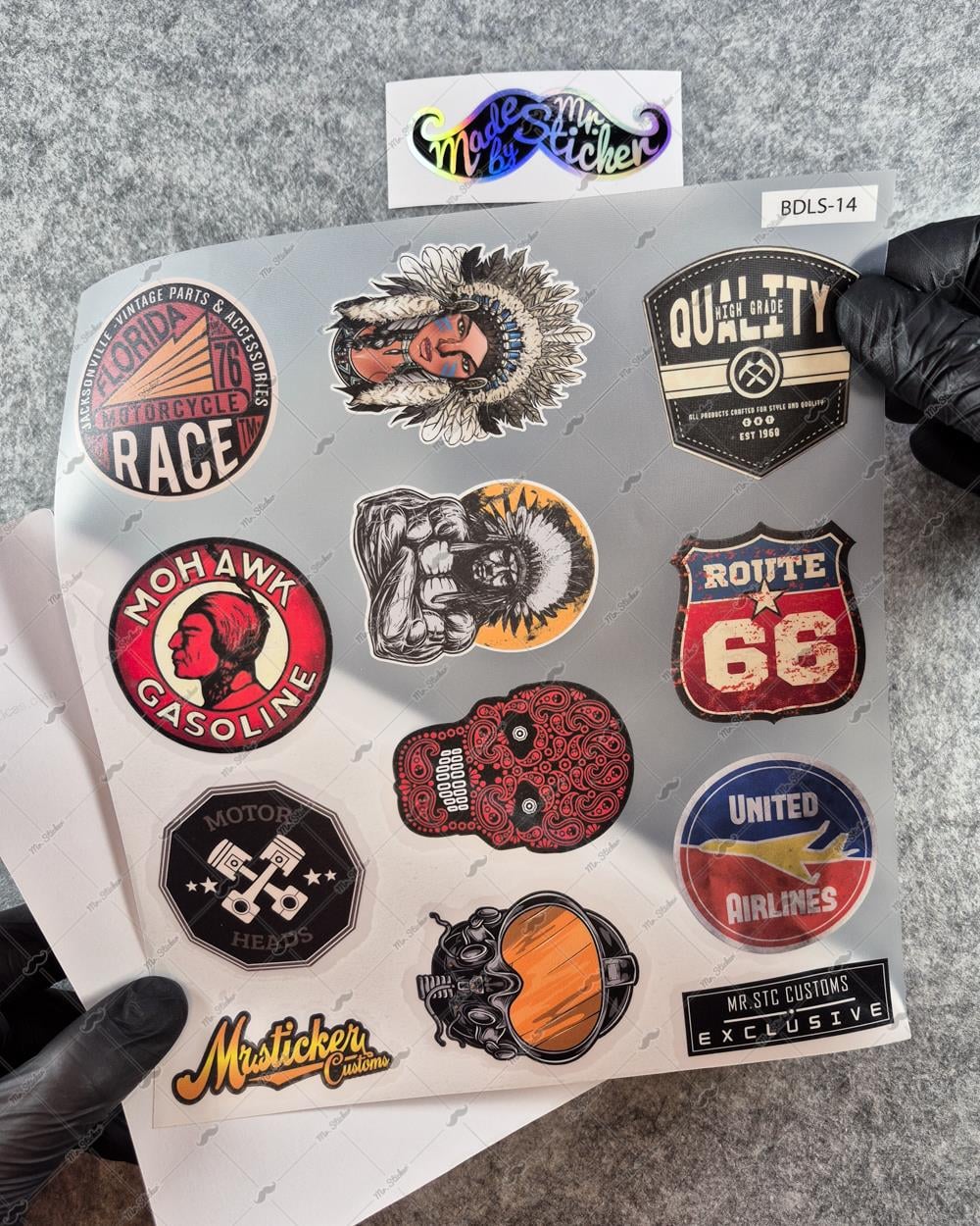 BDLS14 Küçük Boy 10lu Sticker Seti