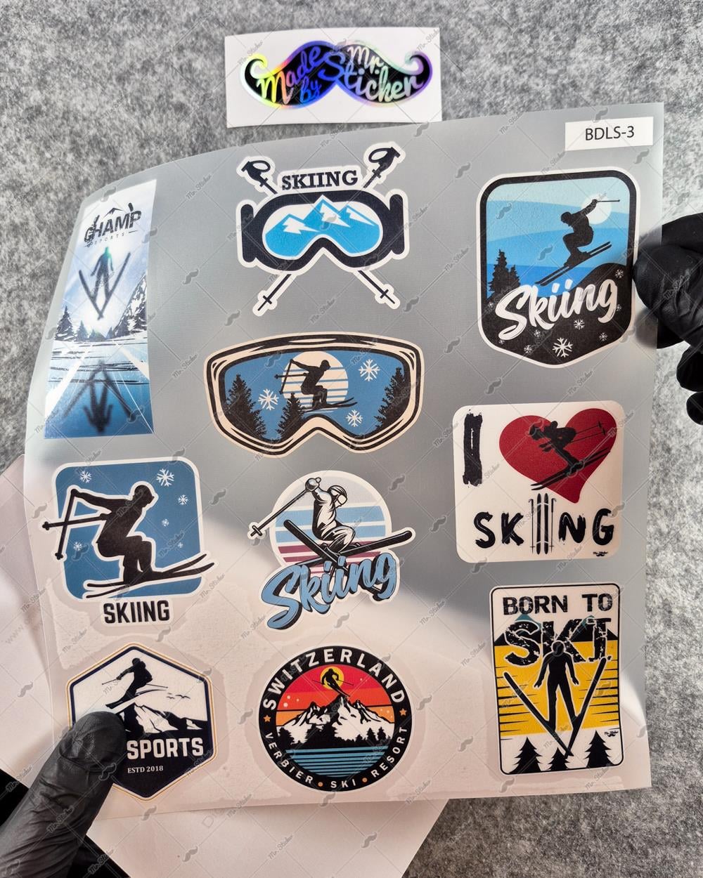 BDLS3 Küçük Boy 10lu Sticker Seti