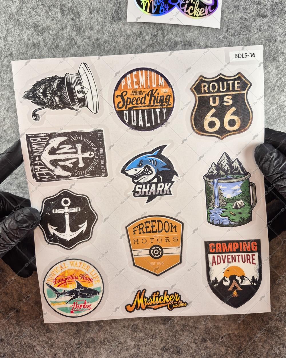 BDLS36 Küçük Boy 10lu Sticker Seti