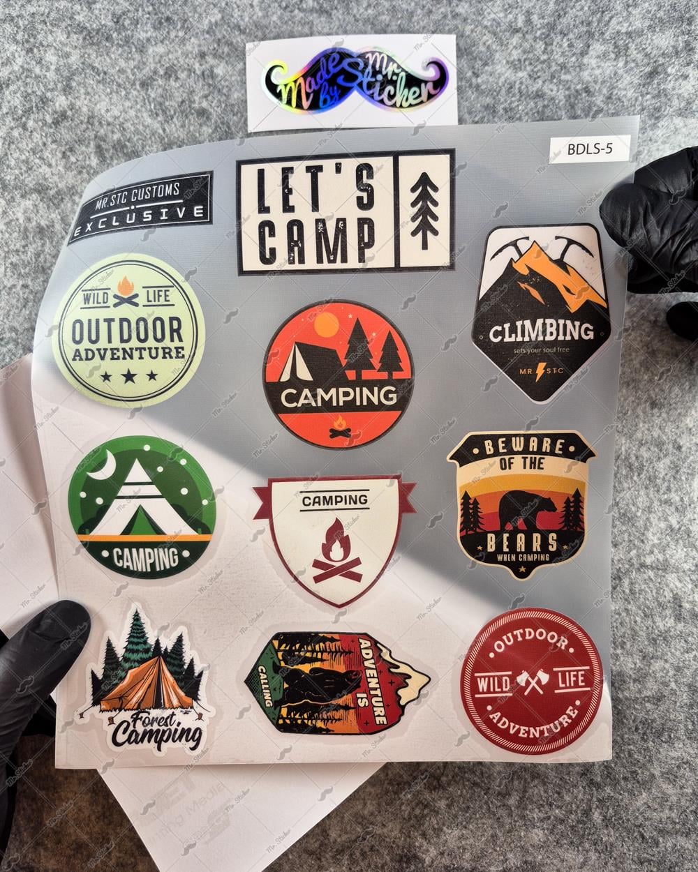 BDLS5 Küçük Boy 10lu Sticker Seti