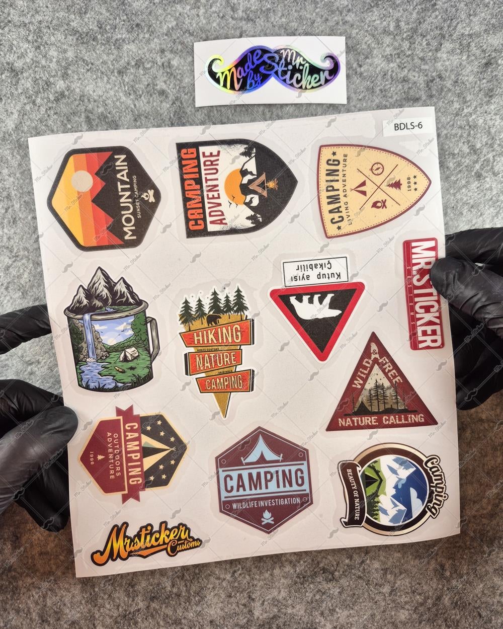 BDLS6 Küçük Boy 10lu Sticker Seti