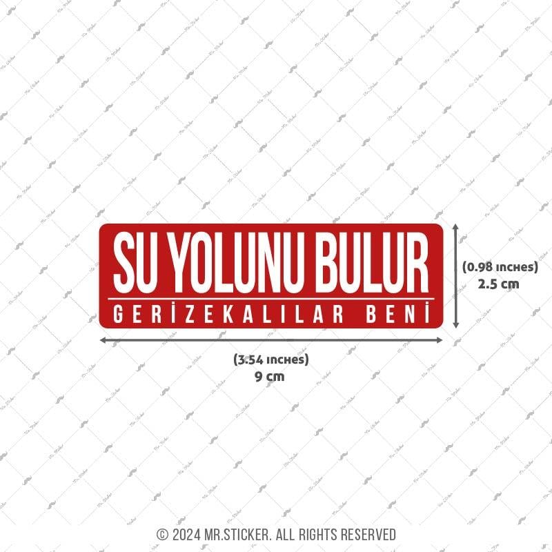 ESP58 V3 Su Yolunu Bulur