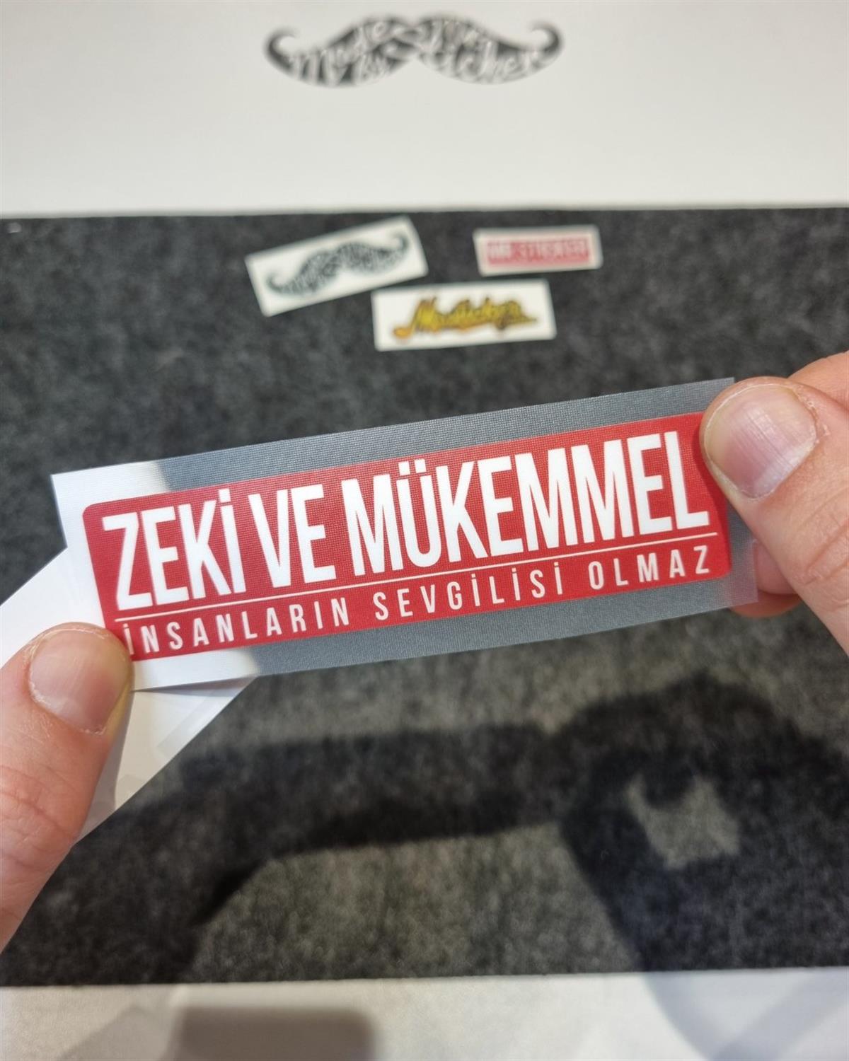 ESP63 V3 zeki ve mukemmel
