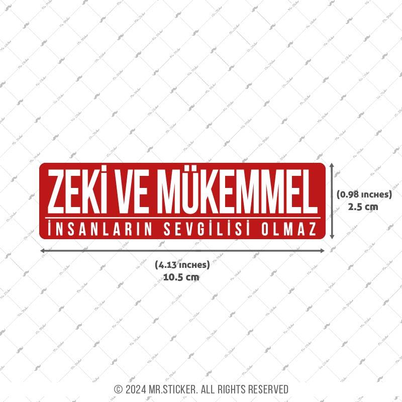 ESP63 V3 zeki ve mukemmel