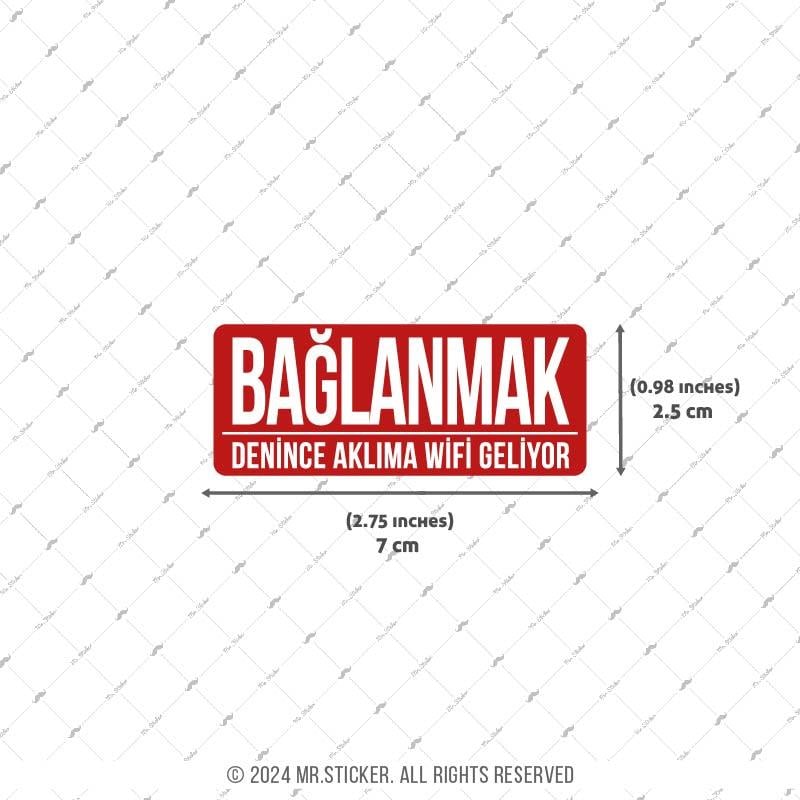 ESP64 V3 Baglanmak Denince