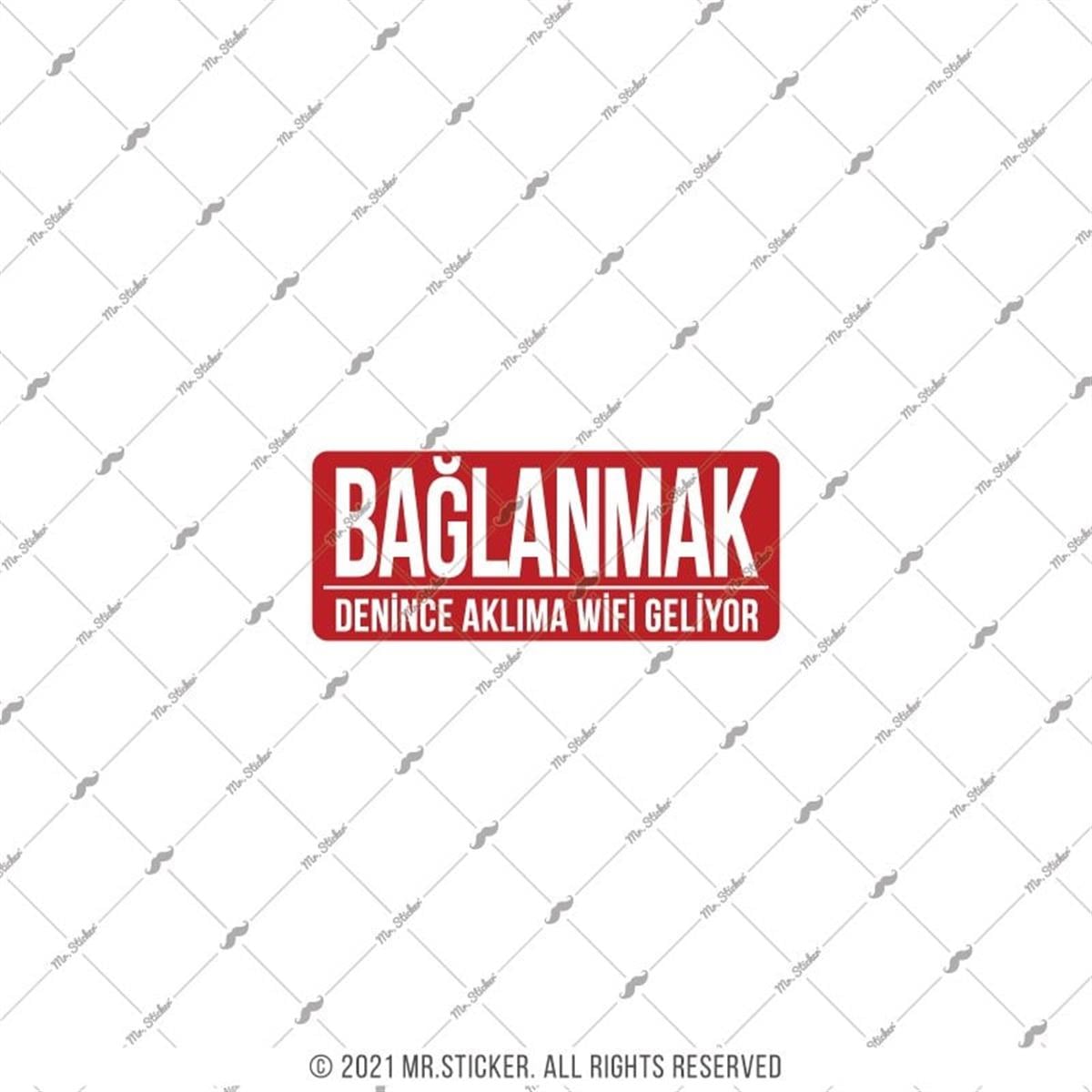 ESP64 V3 Baglanmak Denince