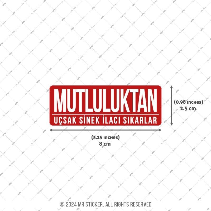 ESP65 V3 Mutluluktan Ucsak