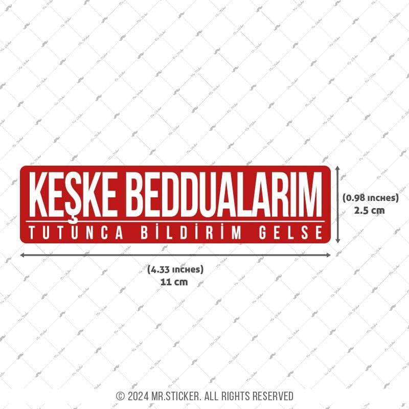 ESP66 V3 Beddua Bildirimi