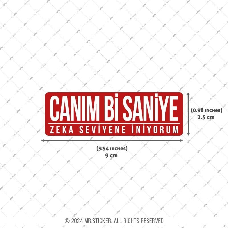 ESP67 V3 Canim Bi Saniye