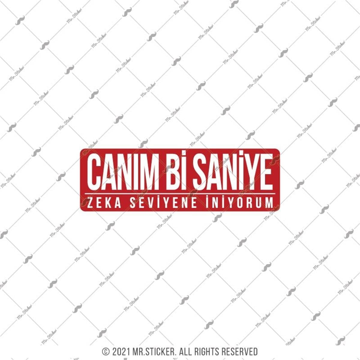 ESP67 V3 Canim Bi Saniye