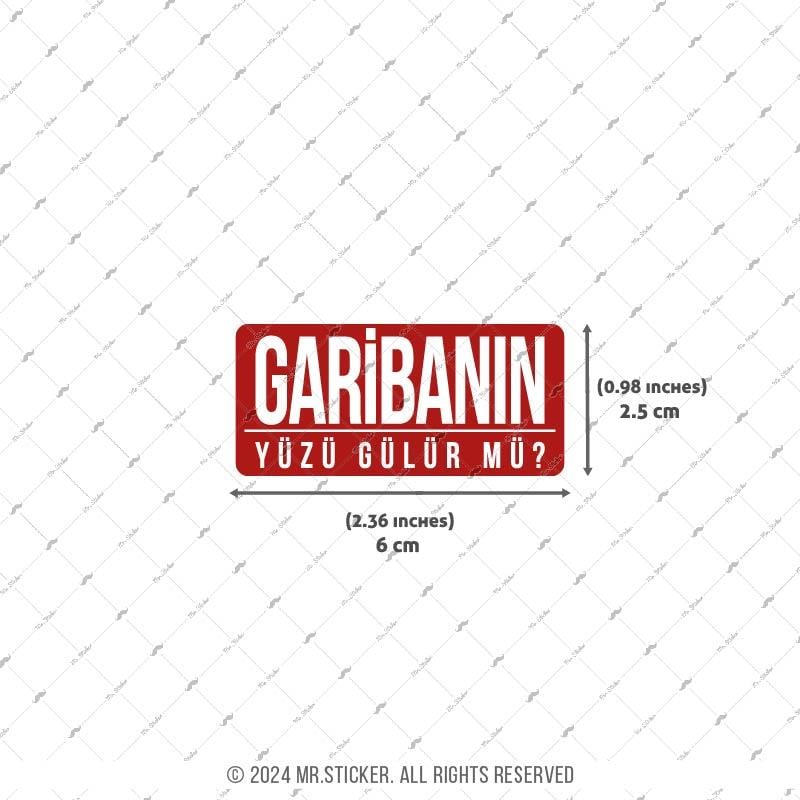 ESP71 V3 Garibanin Yuzu Gulur mu?