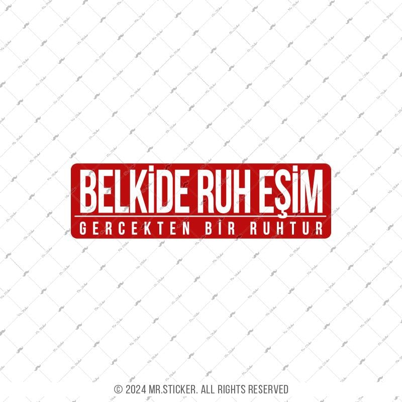 ESP73 Belkide Ruh Eşim Ruhtur