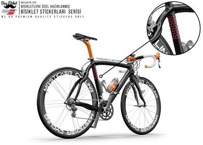 BCY20 Reflektif Ari Petekleri V1 Fusya