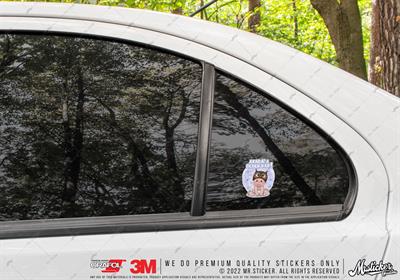 BOB22 Kus Sapkali Arabada Bebek Var Etiketi 3lü Set