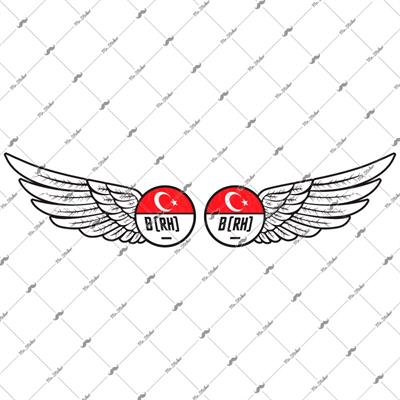 BT25 Reflektif Kanat Desenli B Rh Negatif (-) Kan Grubu Etiket Seti