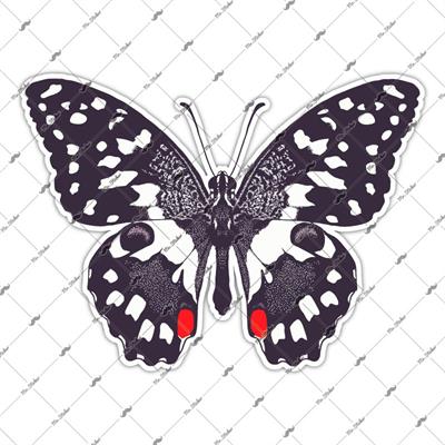 BTF1 Siyah Beyaz Kelebek Etiketi