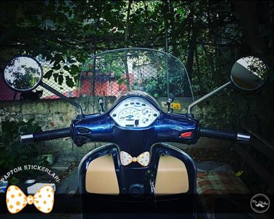 BWTM5 Mavi Beyaz Cizgili Papyon Etiketi