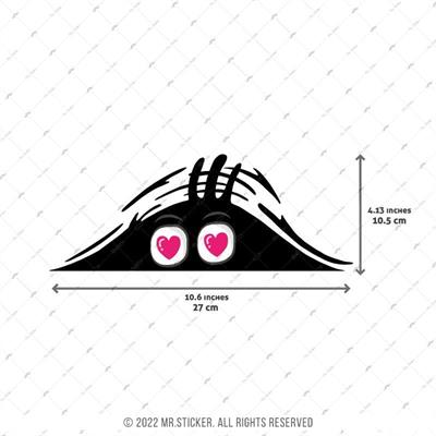 CAR14 Yari Reflektif Bagajdan Bakan Kalpli Gozler Etiketi