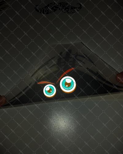 CAR15 Yari Reflektif Bagajdan Bakan Asabi Gozler Etiketi