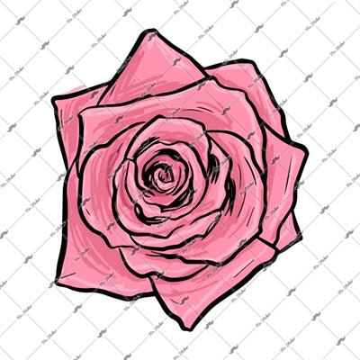 FLW9 Pembe Gul Etiketi