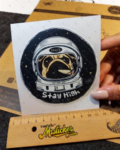 MSL137 Astronot Kopek Etiketi