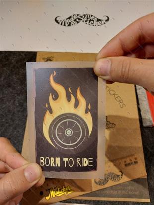 MSL155 Surmek Icin Dogmus