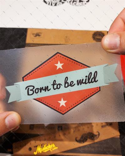 MSL6 Vahsi Olmak Icin Dogmus Etiketi