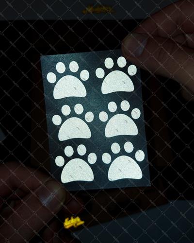 RFHLM19 Reflektif Kedi Patisi Izi Etiket Seti - 6 Adet