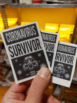 RFHLM237-Coronavirus Survivor Set