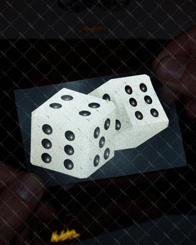 RFHLM25 Reflektif Zar Etiketi