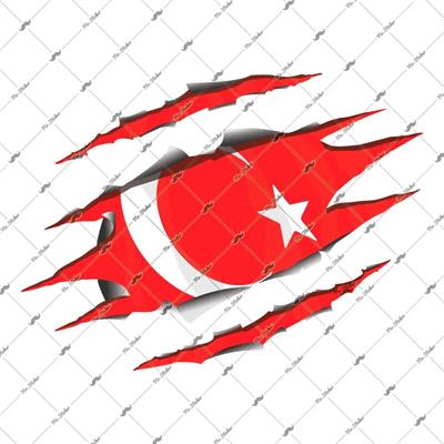 RFHLM66 Reflektif Ici Gozuken Yirtik Metal Desenli Ay Yildiz Etiketi